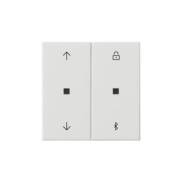 Gira Jalousie- + Schaltuhr Bluetooth Sys.55 rws 536703